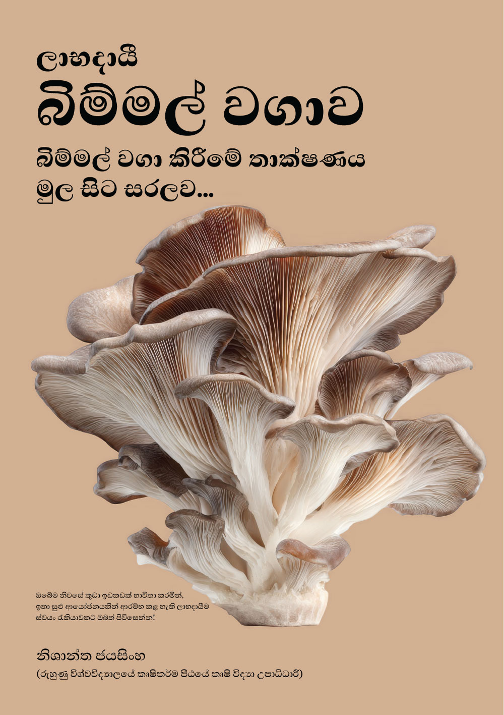 ලාභදායී බිම්මල් වගාව