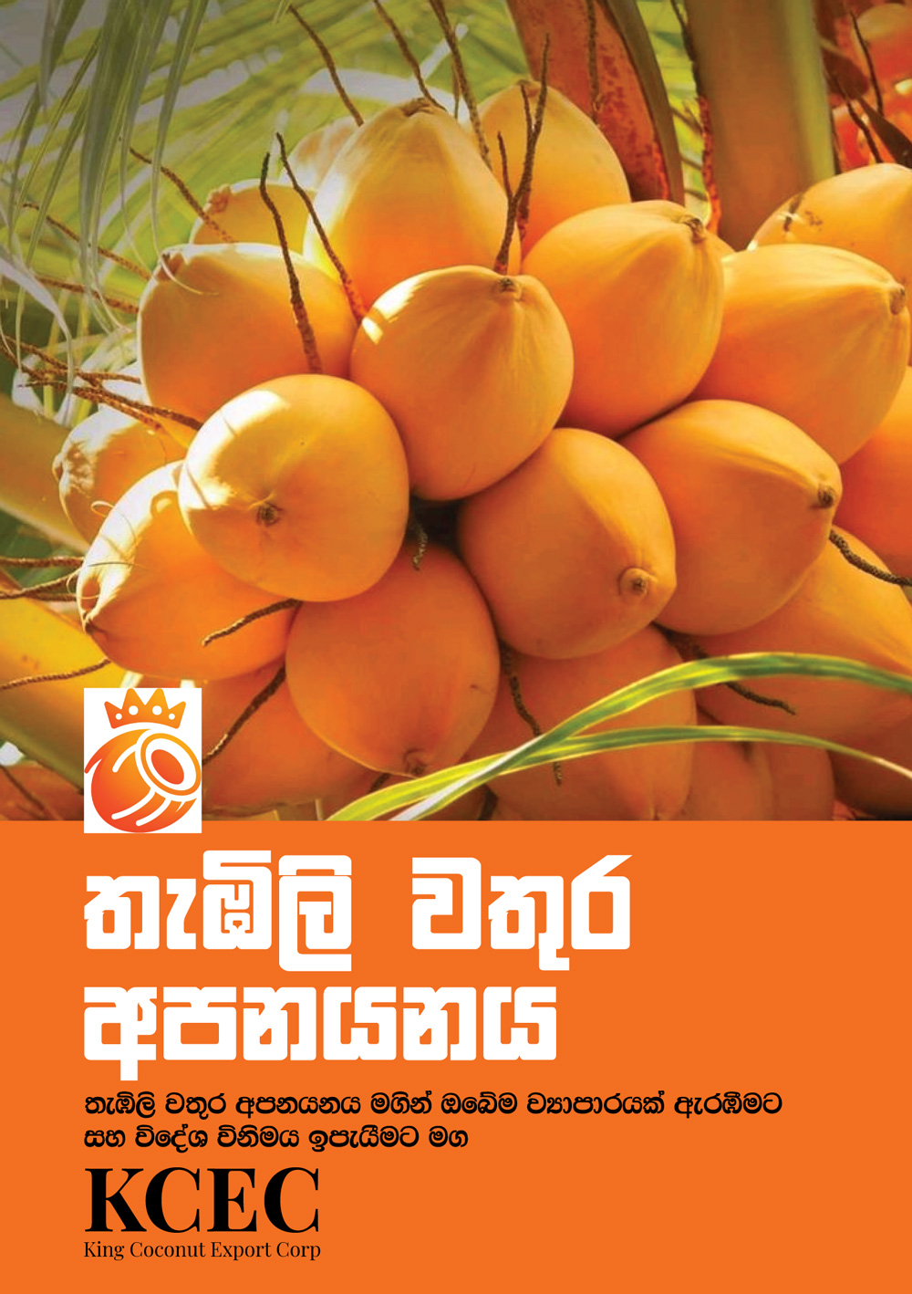 තැඹිලි වතුර අපනයනය